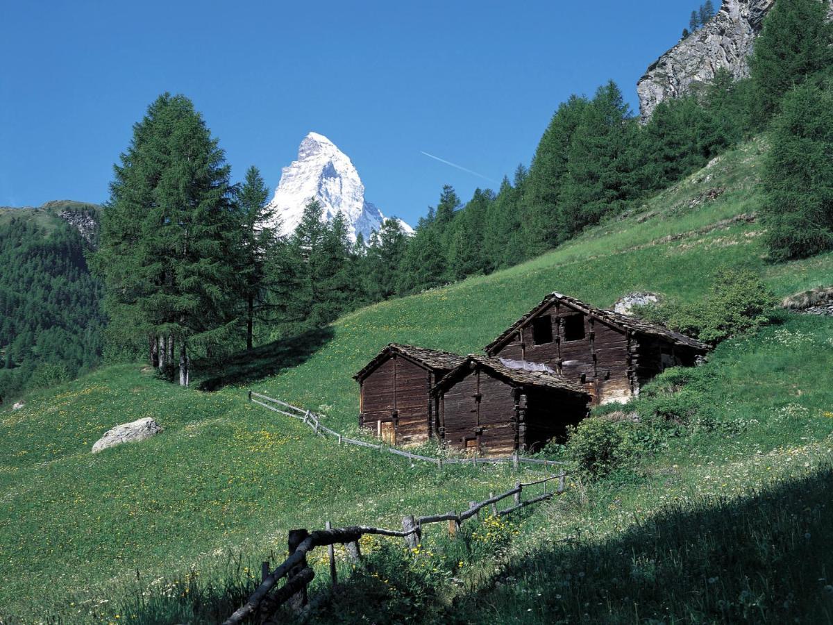 Apartment Armina By Interhome Zermatt Extérieur photo